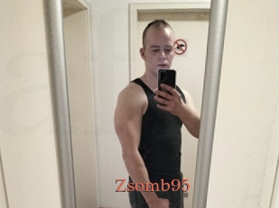Zsomb95